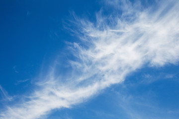 Background sky on a bright sunny day. Beautiful cumulus and cirrus thin clouds on a blue sky...