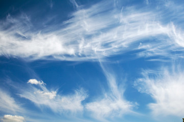 Background sky on a bright sunny day. Beautiful cumulus and cirrus thin clouds on a blue sky...