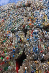 Plastic bottles collected and sorted for recycling	