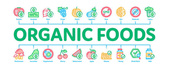 Organic Eco Foods Minimal Infographic Web Banner Vector. Organic Tomato And Mushrooms, Peach And Grape, Apple And Cherry Concept Illustrations