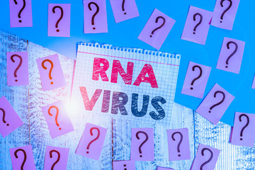 Text sign showing Rna Virus. Business photo showcasing a virus genetic information is stored in the form of RNA Scribbled and crumbling papers with thick cardboard above wooden table