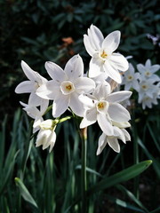 Processed with VSCO with  preset