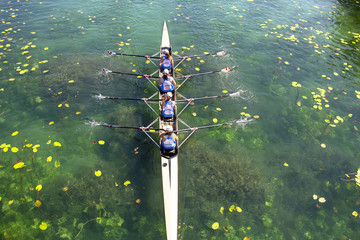 Women's quadruple rowing team on green lake