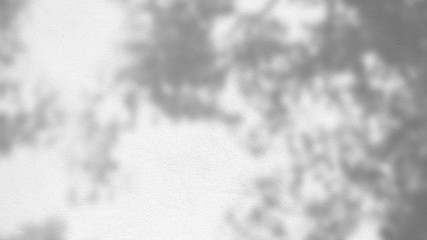 abstract background texture of shadows leaves on a concrete wall