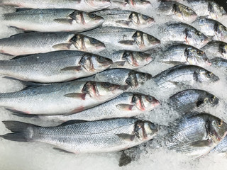 Fish in a store on ice. Dorado fish in the fishing department of the supermarket.