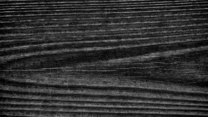 grunge wood plank Texture background for design