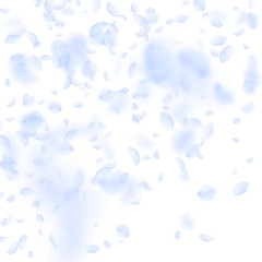 Light blue flower petals falling down. Admirable r