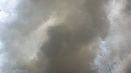 Obraz premium Background of white smoke, Fog or smoke background, Smog abstract background.