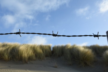 Beach Fence