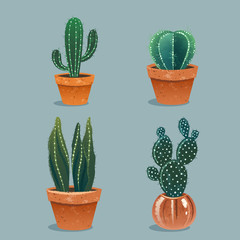 Set van vier cactussen in bloempot. Thuis planten. vectorillustratie