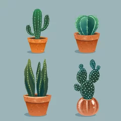 Foto op Aluminium Cactus in pot Set van vier cactussen in bloempot. Thuis planten. vectorillustratie