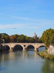 Fototapeta na wymiar bridge over the river in rome