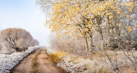 A beautiful scenery of a gravel road in the late autumn with first snow. Northern Europe landscape at the beginning of winter.