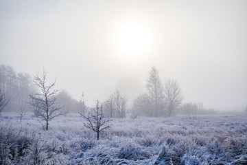 A beautiful winter scenery in the European countryside. First snow landscape. Bright morning.