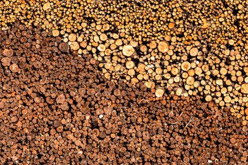 background of a huge number of sawn trees