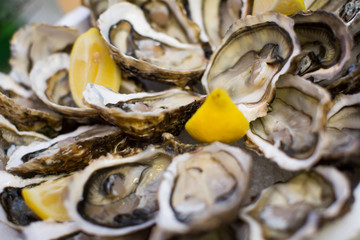 oysters close up © JackF