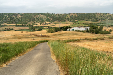 Rural landscape in Matera province at summer