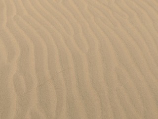 ripples in the sand
