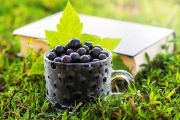 Black currant berries in transparent cup in grass on book background_