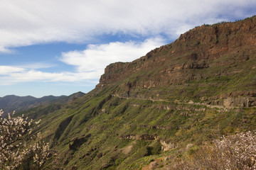 Fototapeta na wymiar Artenara road on hillside of green landscape in Gran Canaria, Spain. Canyon valley natural environment in Canary Islands