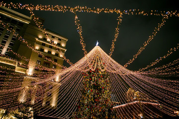 Moscow, Russia. Christmas tree on Manezhnaya Square - 317001448