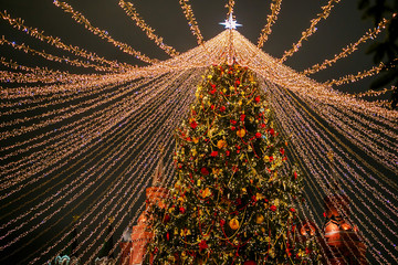 Moscow, Russia. Christmas tree on Manezhnaya Square - 317001479