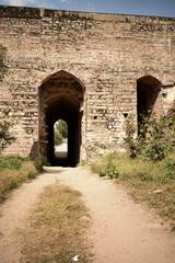 Forest Path and Way To Old Abandoned Fort 