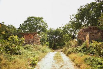 Forest Path and Way To Old Abandoned Fort 