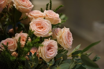 Obraz na płótnie Canvas peach rose conveying the vividness Valentines day background