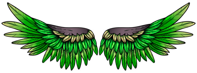 Beautiful green parrot bright colorful wings, hand drawn vector © Евгения Савченко