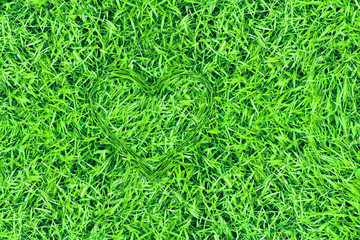Green heart made of grass on grass, top view, ecology concept