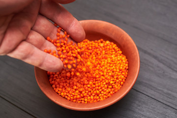 lentil grains in a male hand in a plate on a black wooden background.