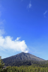 有村溶岩展望所から見た桜島