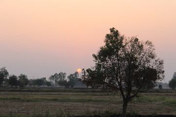 The sunset