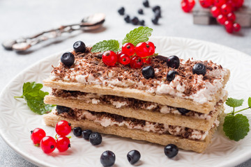 Cottage cheese dessert of crispy dietary bread, curd and blueberries with red currants. Selective focus.