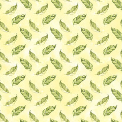 Watercolor hand drawn seamless pattern with spring tender leaves