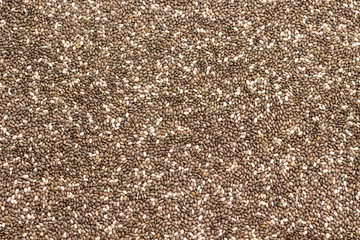 Black chia seeds source of vegan natural protein, calcium, omega-3