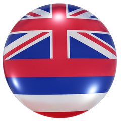 Hawaii State flag button
