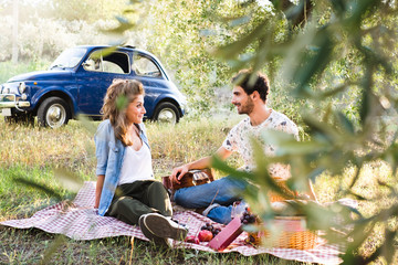 Beautiful couple in love having a picnic