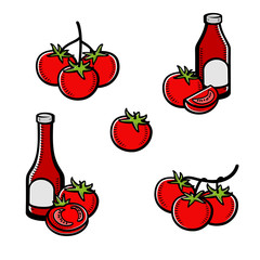 Tomato set. Collection icon tomato. Vector