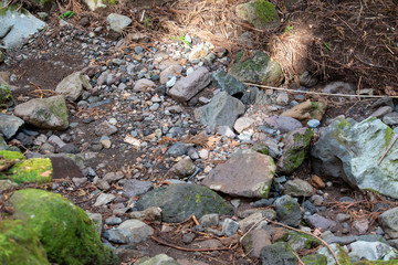 がれきの落ちた登山道