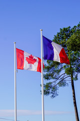 Canadian and French flags flying together in blue sky and tree pine