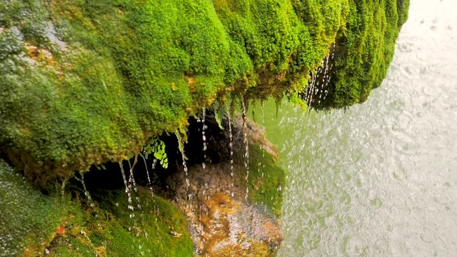 Musgo sobre piedra y una cascada de agua sobre ella en c&aacute;mara lenta