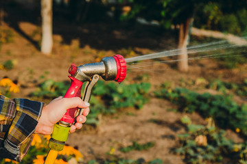 View woman hands watering plants from the hose, makes a rain in the garden. Gardener with watering hose and sprayer water on the flowers.