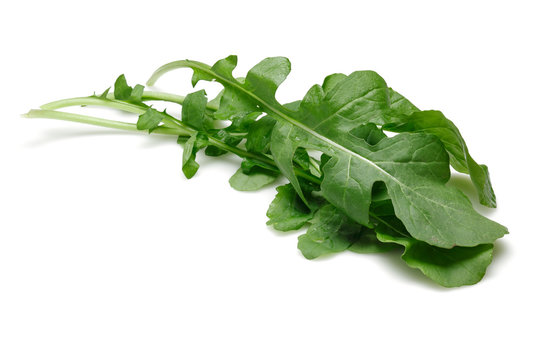 Bunch of fresh rucola isolated on white