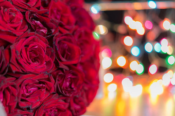 Red rose on lights bokeh background,