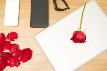 Office home at the table have a red rose with notebook, black watch and smart phone on the table,