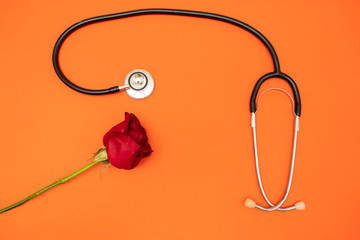 Red rose and Stethoscope on color orange background,