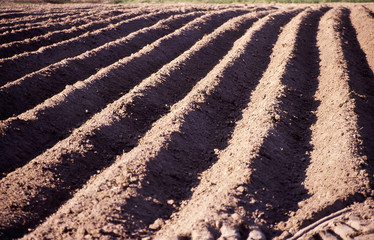 Furrows