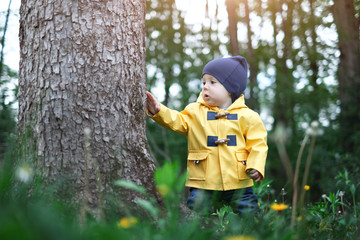 Kid in yellow jacket in forest near big tree